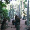 Jardin Majorelle Marrakesch