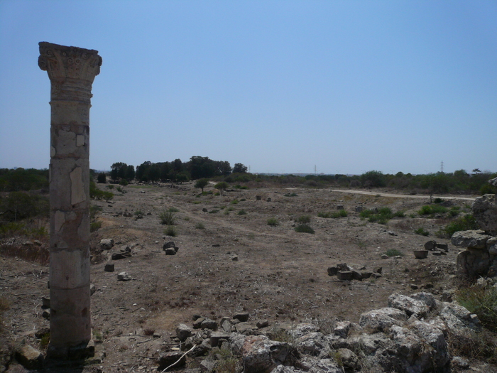 Bild: Salamis, Agora
