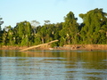 Rio Madre de Dios