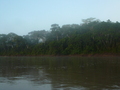 Rio Madre de Dios