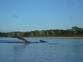 Rio Madre de Dios, hinten die Anden