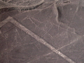 Nazca-Linien: Wal