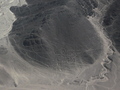 Nazca-Linien: Kondorküken