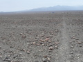 Nazca-Linien: Eine der Linien