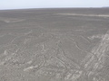 Nazca-Linien: Blick vom Aussichtsturm auf den Baum