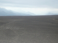 Nazca-Linien: Blick vom Aussichtsturm auf eine Vorderpfote der Echse