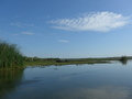 Donaudelta