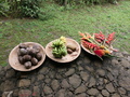 Sao Joao dos Angolares: Kokos, Bananen, Heliconien, Bienenkorbingwer