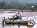 Sao Joao dos Angolares: Fischer