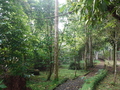 Bom Sucesso: Botanischer Garten