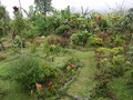 Bom Sucesso: Botanischer Garten