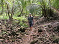 Ilheu das Rolas: Weg durch den Wald