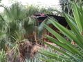 Neves: Hotel
