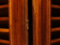 Neves: Gecko