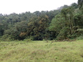 Lagoa Amelia