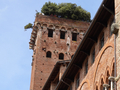 Lucca Guinigiturm