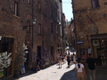 Volterra