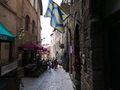 Volterra