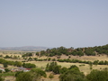 Nekropole von Sant Andria Priu