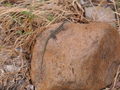 bei der Nekropole von Sant Andria Priu