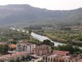 Bosa