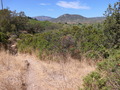 Su Gologone Panoramaweg
