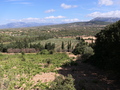 bei der Grotta di Ispinigoli