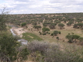 Tarangire-Fluss