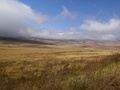 zwischen Ngorongoro und Serengeti