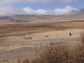 zwischen Ngorongoro und Serengeti