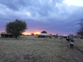 Camp in der Serengeti