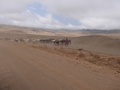 Zwischen Serengeti und Ngorongoro