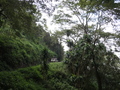 Ngorongoro-Krater