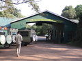 Ausgang aus dem Ngorongoro