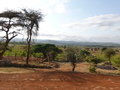 Zwischen Ngorongoro und Mto wa Mbu