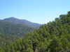 Troodos