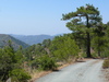 Troodos