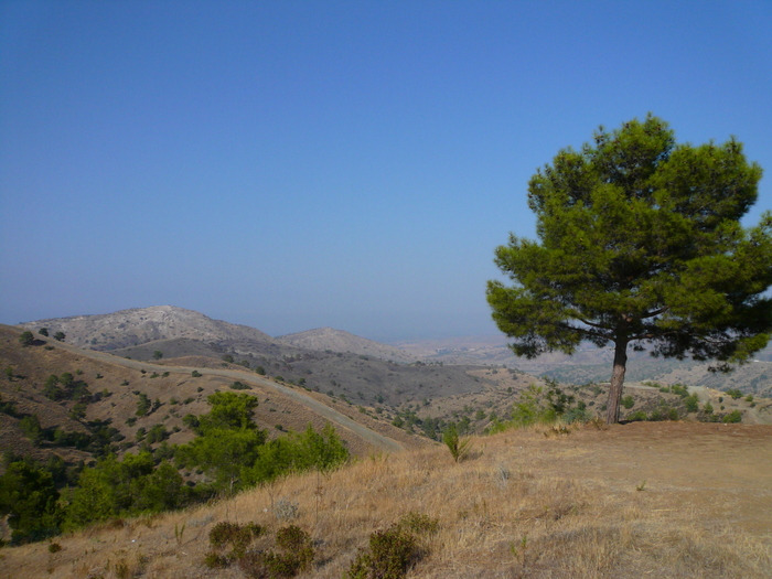 Bild: Troodos, Brandschneise auf dem Bergkamm