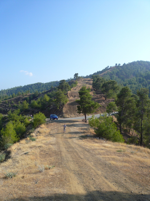 Bild: Troodos, Brandschneise