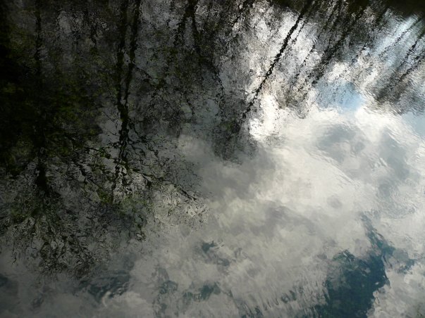 Frühligsblumern an der Autobahn