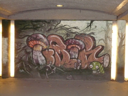 Graffiti unter der Luitpoldbrücke