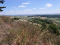 Berg Ipf