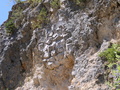 Geopark Lindle