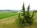 Rollenberg