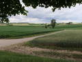 Geotop Klosterberg Maihingen
