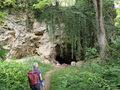 Wallerstein