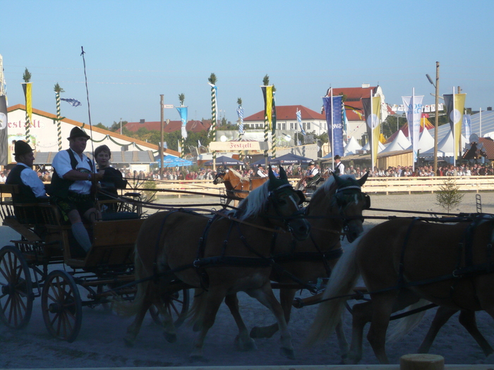 Bild: Historische Wiesn, Kutschenschau