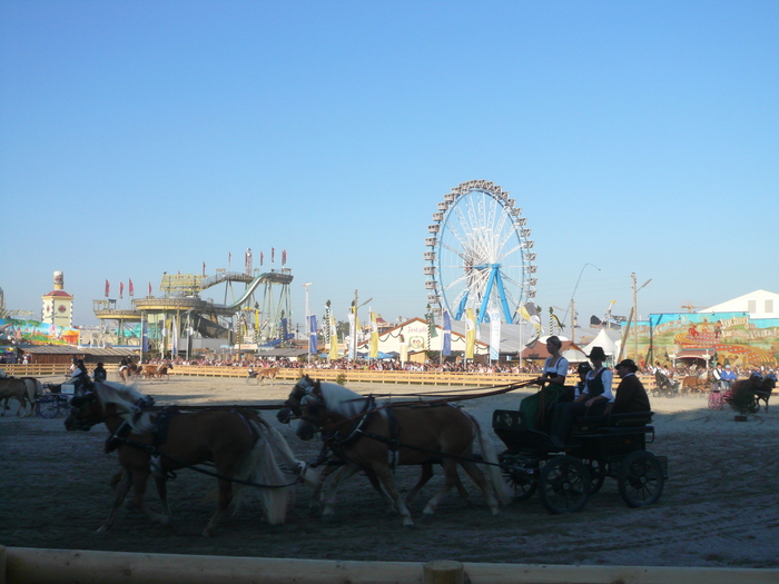 Bild: Historische Wiesn, Kutschenschau